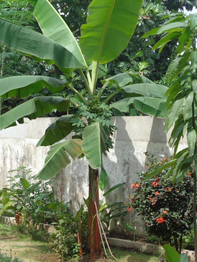 Hotel Santos'S House Sao Tome Zewnętrze zdjęcie